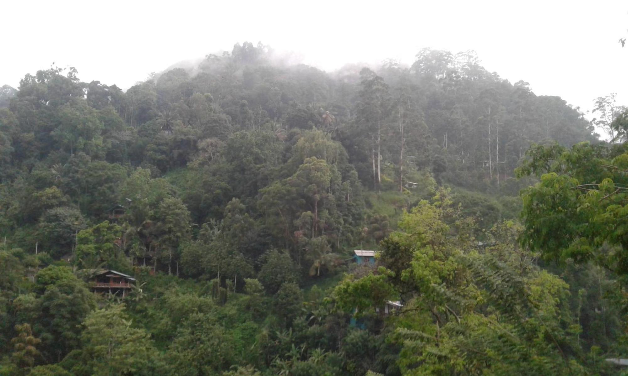Ella Lucky Panoramic Hotel ห้อง รูปภาพ
